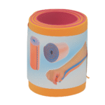 inmovilizador maleable